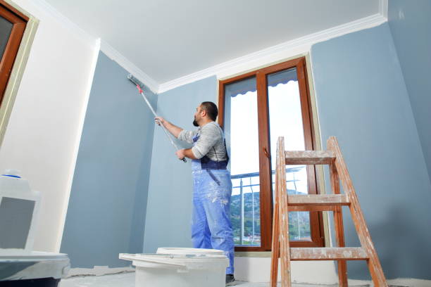 Best Mold Damage Restoration  in Joppatowne, MD