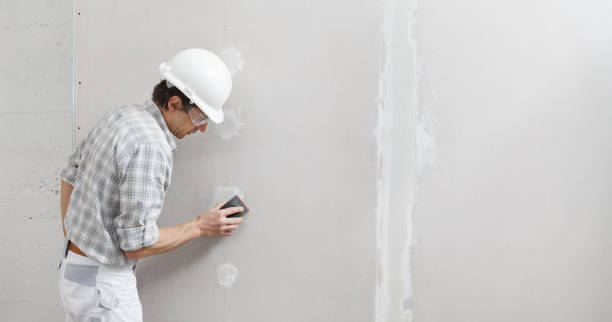 Best Water Damage & Mold Remediation  in Joppatowne, MD
