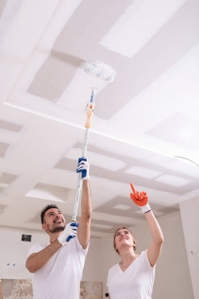 Professional Mold Removal in Joppatowne, MD
