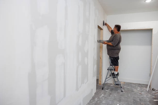 Best Commercial Mold Inspection  in Joppatowne, MD