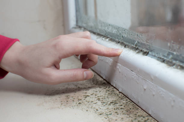 Asbestos and Lead Testing During Mold Inspection in Joppatowne, MD