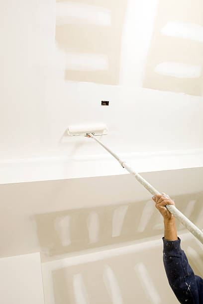Best Emergency Mold Remediation  in Joppatowne, MD